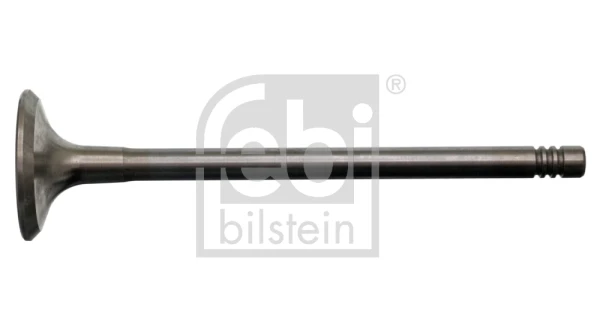 17389 Febi