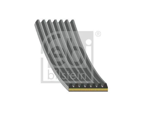 Correa de alternador 184952 Febi