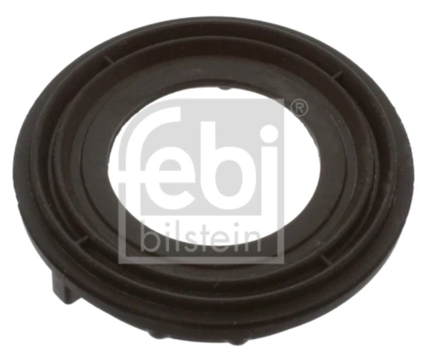 43747 Febi