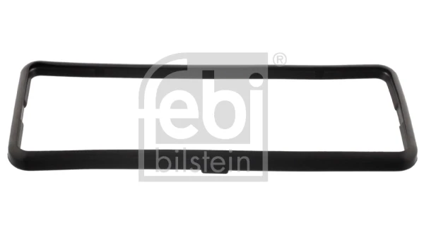 12436 Febi