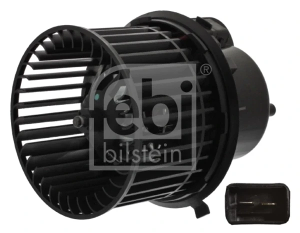 40181 Febi