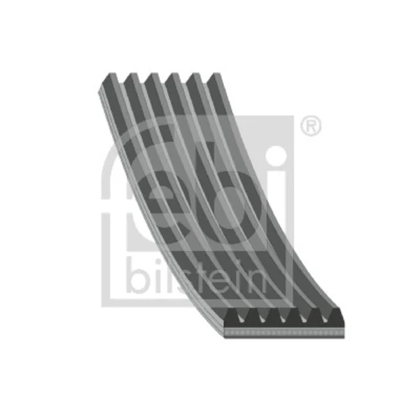 28942 Febi correa trapezoidal