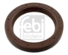 31144 Febi