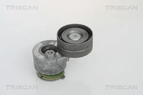 Tensor de correa poli V 8641103018 Triscan