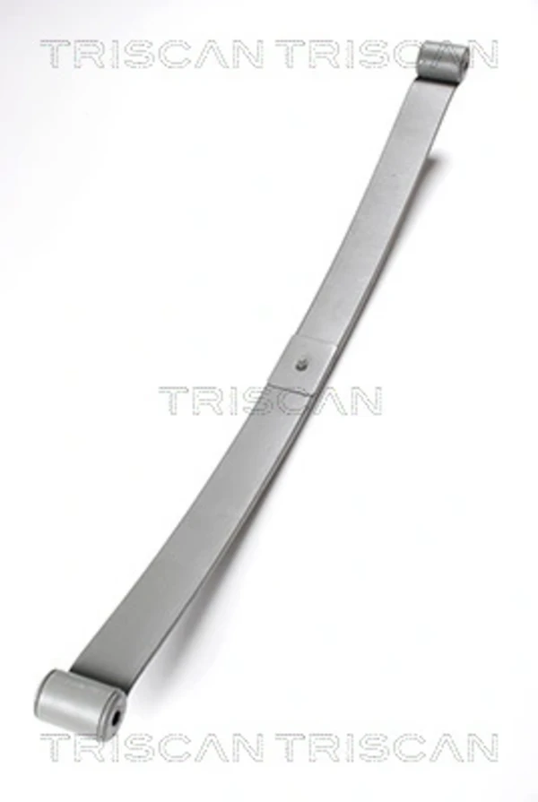 Ballesta trasera Citroen Jumper (244)