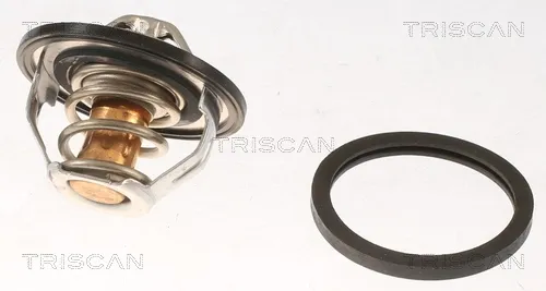 Termostato 862013882 Triscan