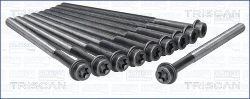 Tornillo culata Ford Transit V