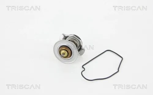 Caja de termostato 862027692 Triscan