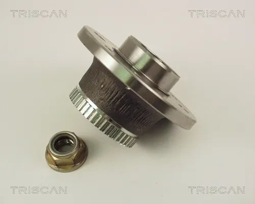 Cubo de rueda trasero Renault Laguna II