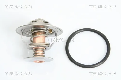 Termostato 862023488 Triscan
