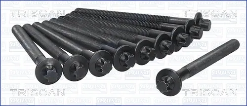 Tornillo culata Nissan Qashqai +2 I