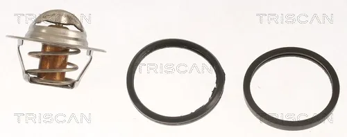Termostato 86207691 Triscan