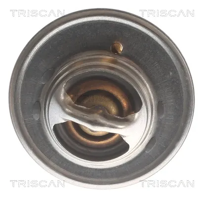 Comprar Termostato Nissan Trade  