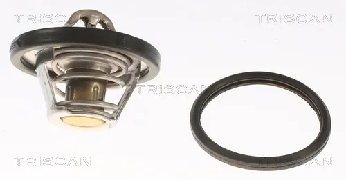 Termostato 862010582 Triscan