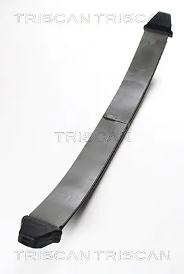 Ballesta de suspensión delantera RP33704000 Goodrem