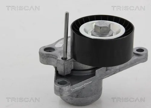 Tensor de correa poli V 8641103040 Triscan