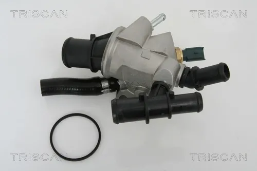 Caja de termostato 862021288 Triscan