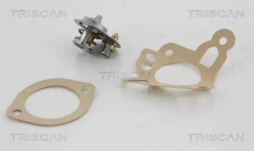 Termostato 862037788 Triscan