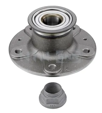 Cubo de rueda trasero R17718 SNR