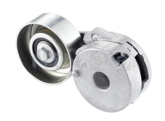 Tensor de correa poli V GA35525 SNR