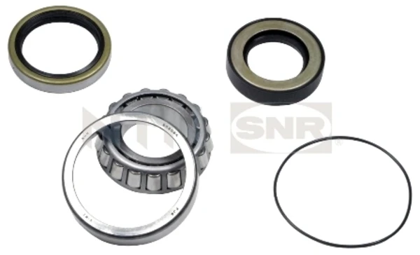R17307 SNR