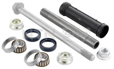 Juego de suspensiones, brazo oscilante trasero SNR KS56605