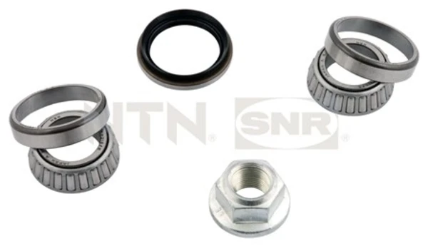 R17309 SNR