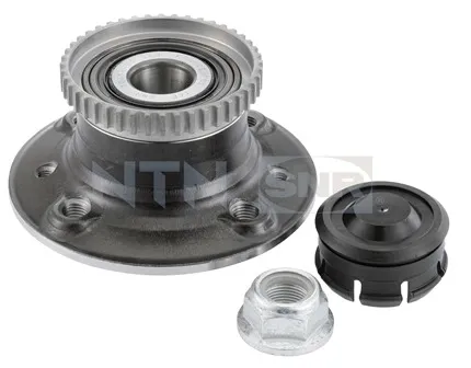 Cubo de rueda trasero R15556 SNR