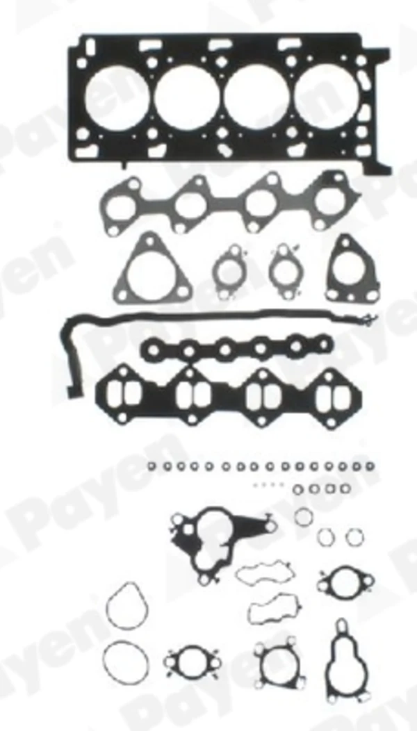 CG9760 Payen