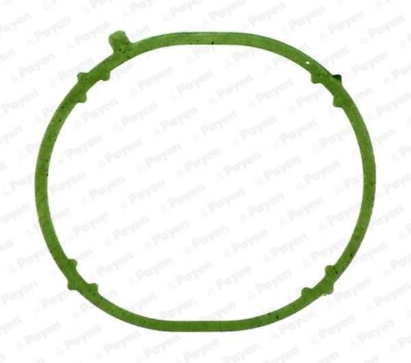 JD6031 Payen