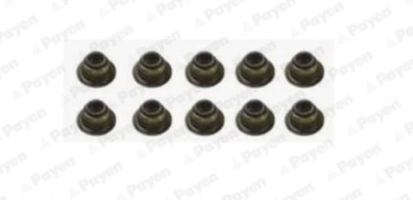 HR5044 Payen