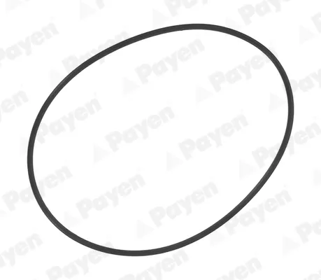 Junta anular, camisa cilindro 157426 Renault (RVI)