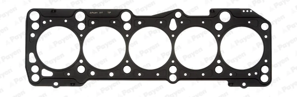 AF5330 Payen