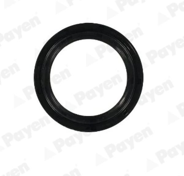 NA5498 Payen