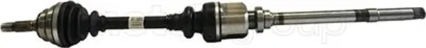 170007 Metelli
