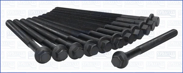 81019900 Ajusa