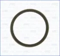 00975700 Ajusa