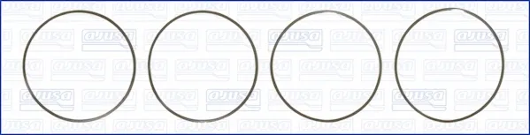 Junta anular, camisa cilindro 60005100 Ajusa