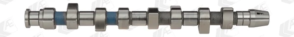 CAM671 AE
