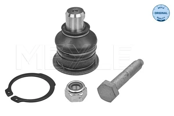 Rótula de suspensión inferior Renault Scenic 2 (JM0, JM1)