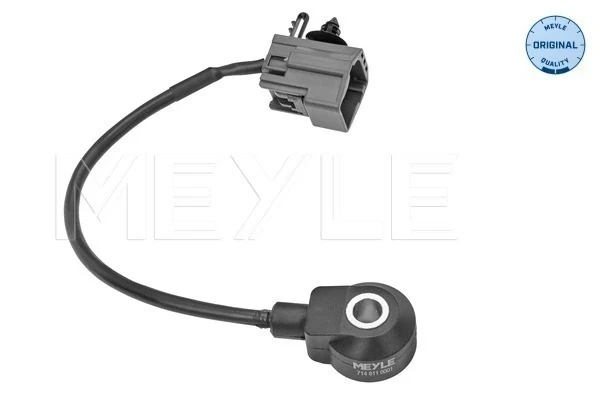 Sensor de detonaciones Ford Transit (V347/8)