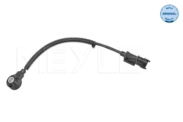 Sensor de detonaciones KIA Rio 2 (DE)