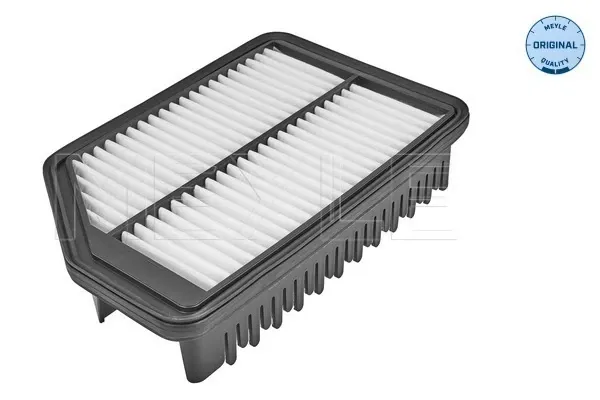 Filtro de aire Hyundai Ix35 LM