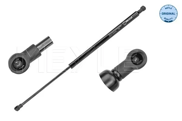 Amortiguadores maletero Renault Modus (JP0)