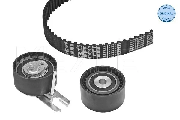 Kit correa de distribución Citroen Berlingo (M)