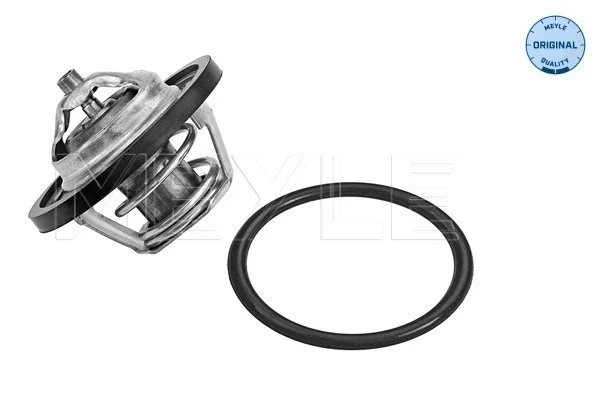 Termostato Opel Astra F (55)
