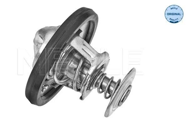 Termostato Peugeot Boxer (250)