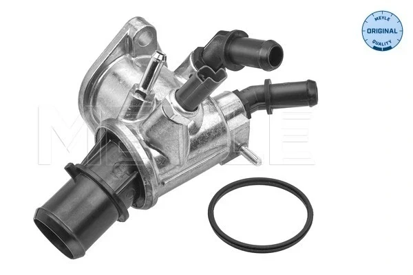 Termostato Suzuki SX4 (GY)