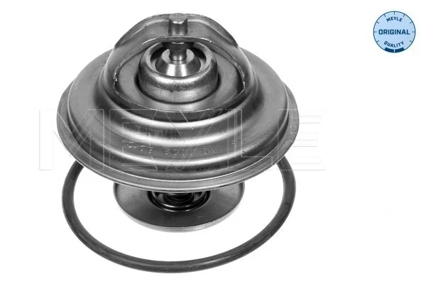Termostato Audi TT (8N9)