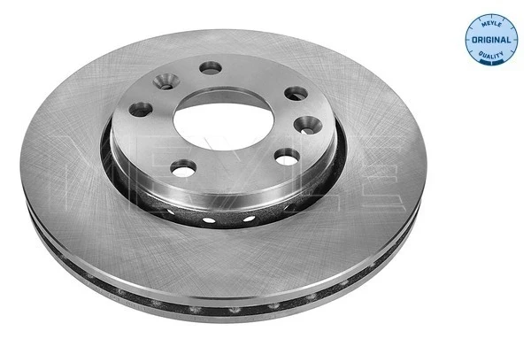Freno de disco delantero Renault Scenic GRAND III (JZ0)